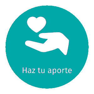 iconos-landing-donaciones-ae_Mesa-de-trabajo-1-300x300