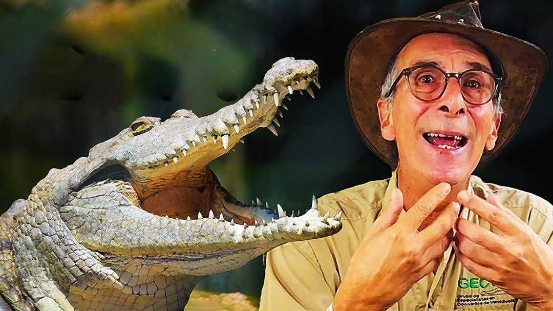 cocodrilo del orinoco y fundador de FUNDECI